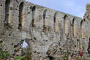 Jervaulx Abbey, East Witton, near Ripon, North Yorkshire,, England UK