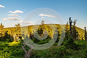 Jeseniky mountains with Cervena hora hiill in Jeseniky mountains in Czech republic photo