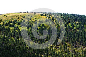 Jeseniky mountains (czech republic)