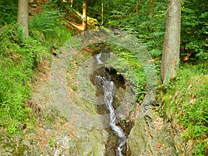 Jeseniky waterfalls forest Studeny stream way through stones fairytale summer landscape , beauty of virgin nature