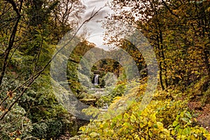 Jesmond Dene in autumn