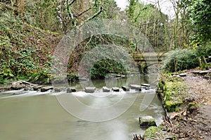 Jesmond Dene stepping stones