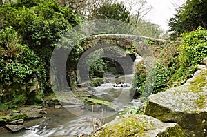 Jesmond Dene stone bridge