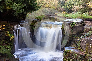 Jesmond Dene Waterfall