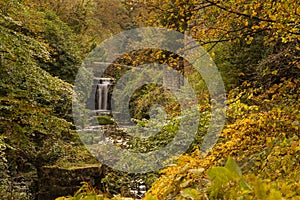 Jesmond Dene waterfall in autumn