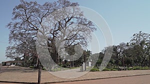 Jesuit City of concepcion in Bolivia