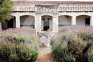 Jesuit Mission Lavender Garden photo