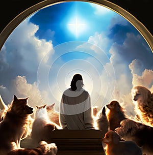 Jesus and animals in heaven