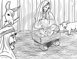 Jesus Born In Manger