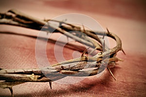 Jesus Christ crown of thorns photo