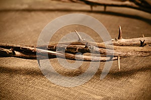 Jesus Christ crown of thorns photo