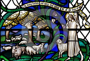 Jesus Christ the Good Shepherd with sheep in stained glass