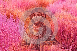 Jesus Christ image on colourful pink tone natural texture background