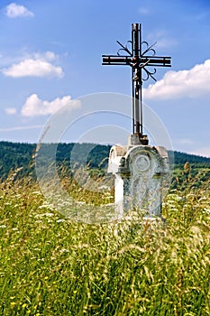 Jesus Christ on old wayside cross in meadow.