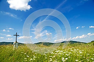 Jesus Christ on old wayside cross in meadow. photo