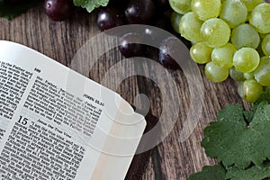 Jesus Christ is the true vine verse in open holy bible with fresh grapes and branches on wooden table