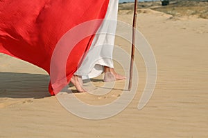 Jesus Christ walking in desert, closeup view