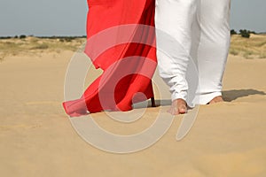 Jesus Christ walking in desert, closeup view