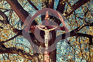 Jesus for crises on old linden tree