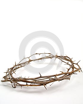 Jesus' crown of thorn