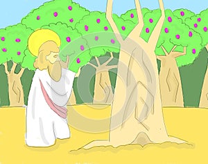 Jesus Curse Barren Fig Tree Illustration