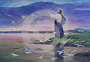 Jesus feeds birds photo