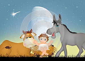 Jesus in the manger with the ox and the donkey
