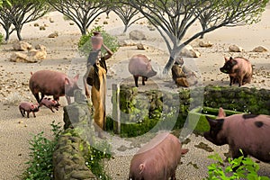 Jesus parables about the Prodigal Son, who was to tend pigs from famine.