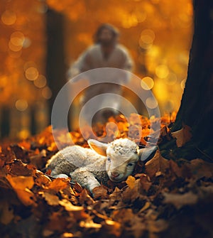 Jesus runs for the lost sheep in autumn forest