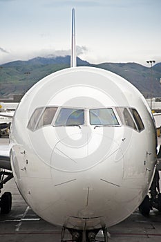 Jet airliner parked at loading gate