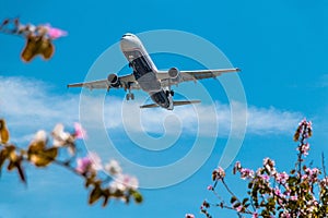 Jet Airplane Airbus Landing