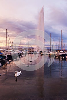 Jet d`Eau in Geneva