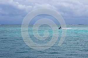 A jet ski races across the Caribbean inside the Meso-American reef.