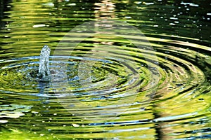 Jet of water in a pond forming waves