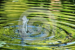 Jet of water in a pond forming waves