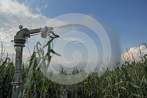 Irrigate the fields photo