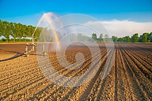 Irrigate the fields