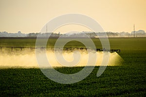 Jets of liquid fertilizer from the tractor sprayer