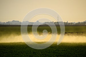 Jets of liquid fertilizer from the tractor sprayer