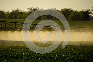 Jets of liquid fertilizer from the tractor sprayer