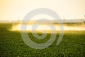 Jets of liquid fertilizer from the tractor sprayer