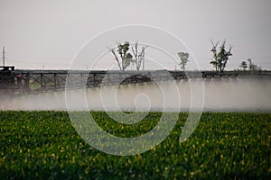 Jets of liquid fertilizer from the tractor sprayer