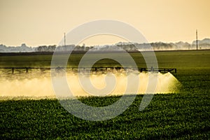 Jets of liquid fertilizer from the tractor sprayer