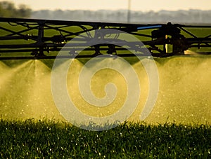 Jets of liquid fertilizer from the tractor sprayer