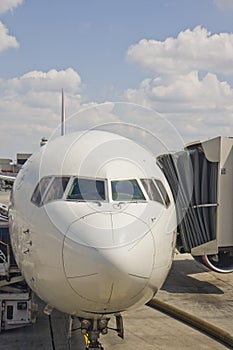 Jets Nose at the Gate