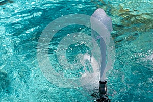 Jets of water with a lot of drops