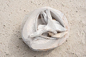 Jetsam and coconut on the sand on the beach