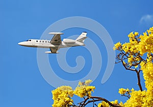 Jetset weekend getaway