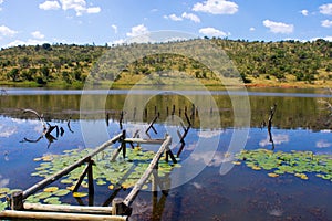 The jetty