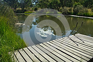 Jetty on the banks of the Murrumbidgee River photo